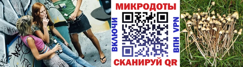 Псилоцибиновые грибы Psilocybe  купить наркотики сайты  Куйбышев 